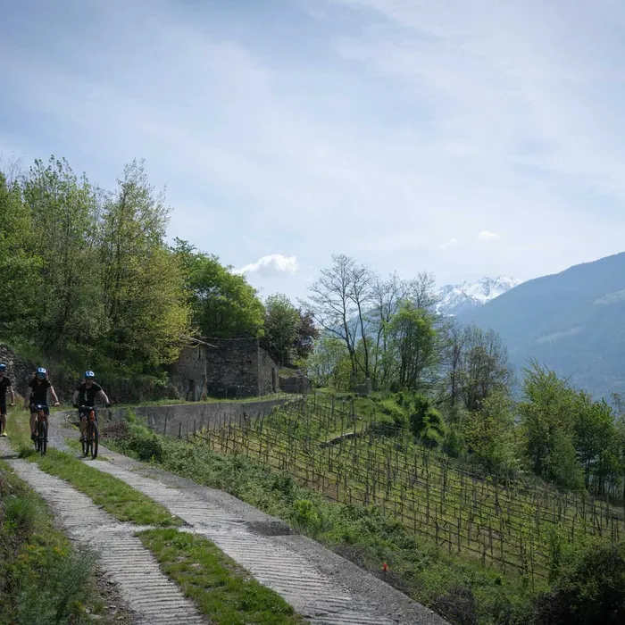 E-Bike Wine Tour
