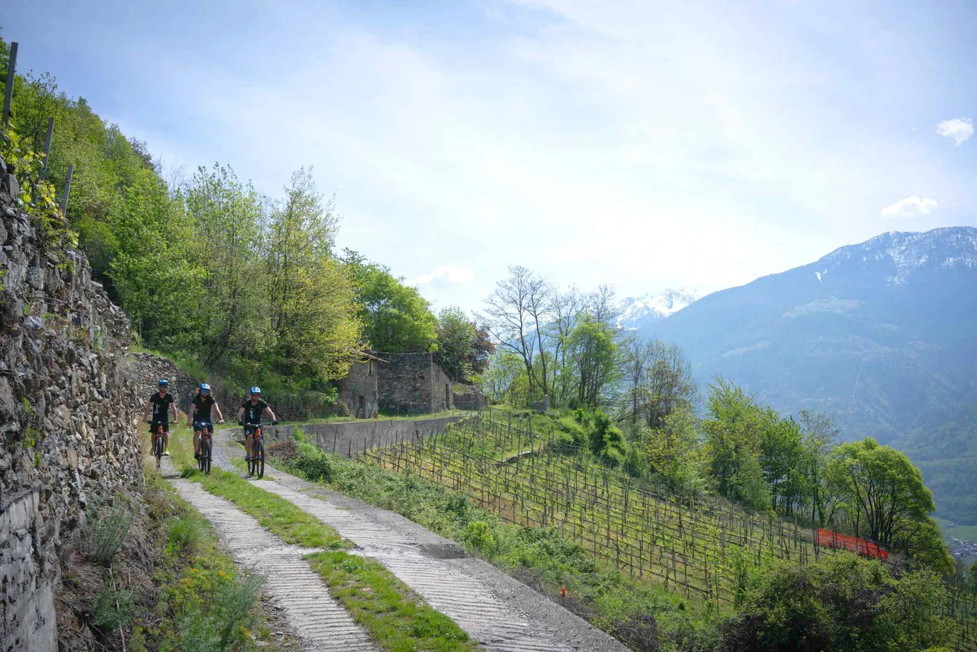E-Bike Wine Tour in Valtellina: tra vigneti, sapori e panorami unici